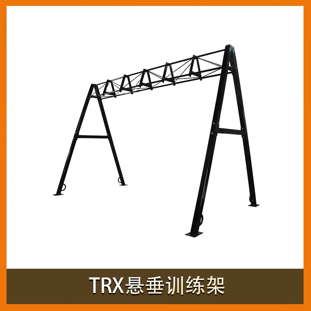 TRX悬垂训练架