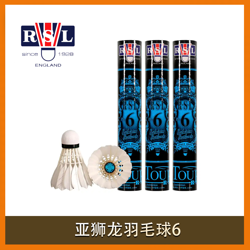 亚狮龙羽毛球6