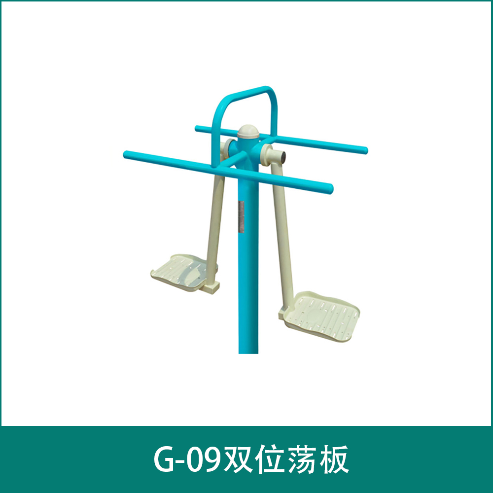 G-09双位荡板
