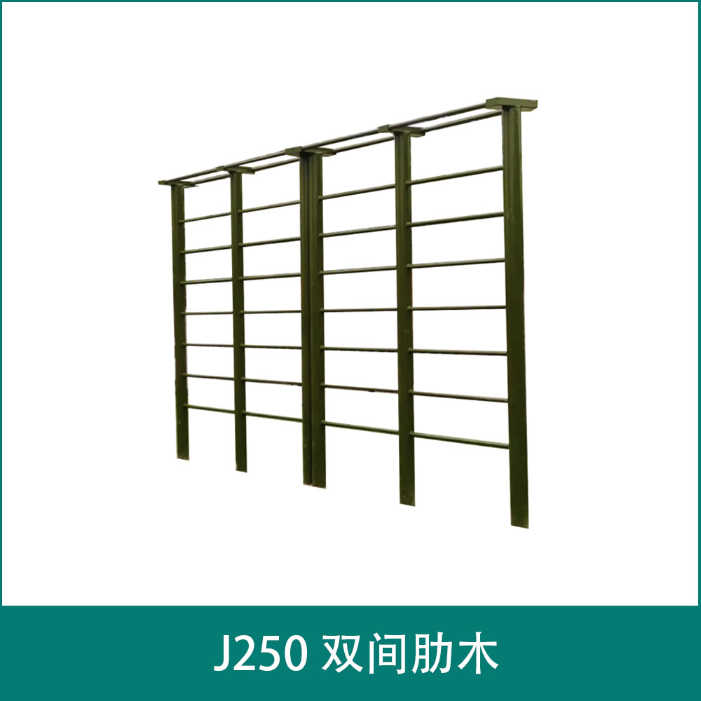 J250 双间肋木