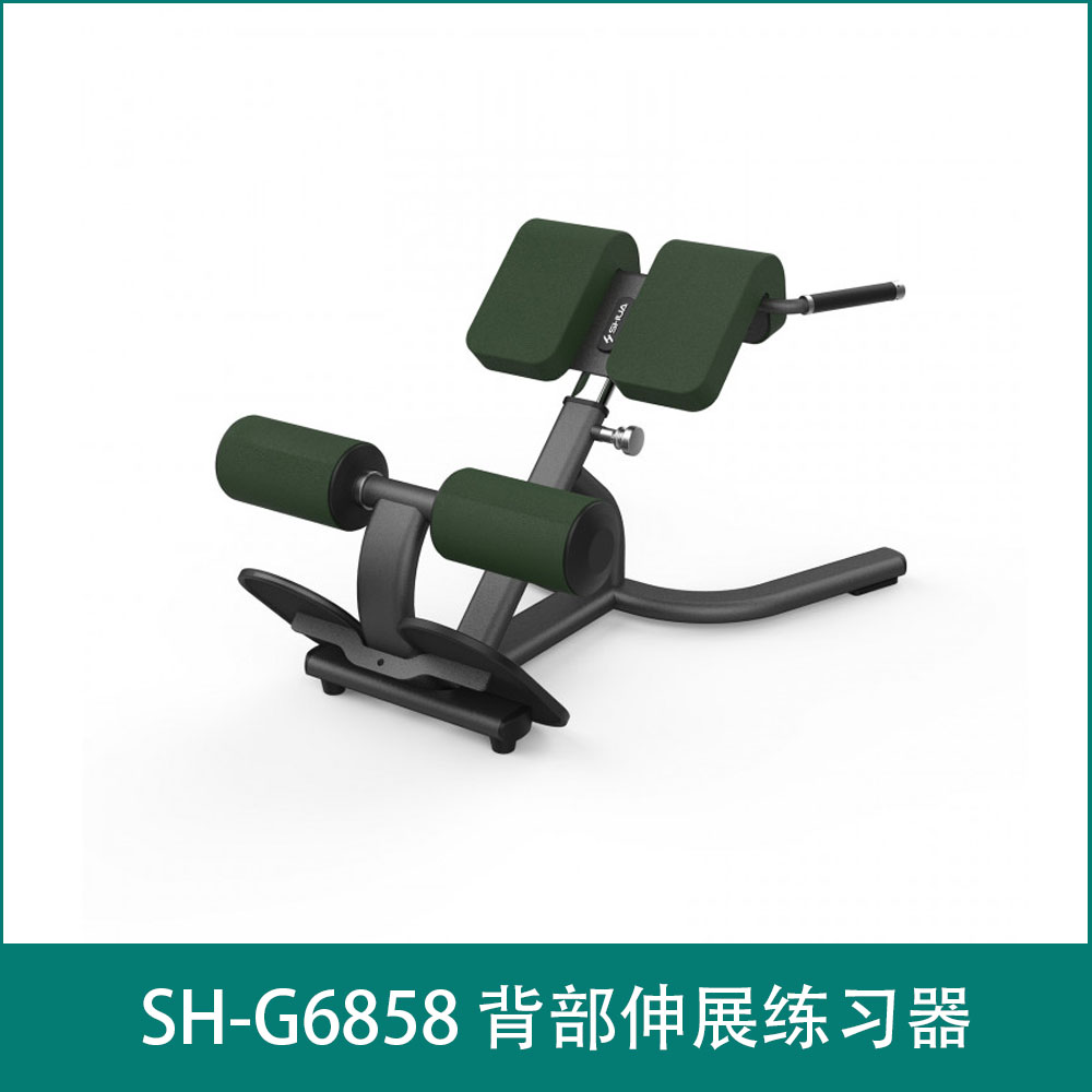 SH-G6858 背部伸展练习器