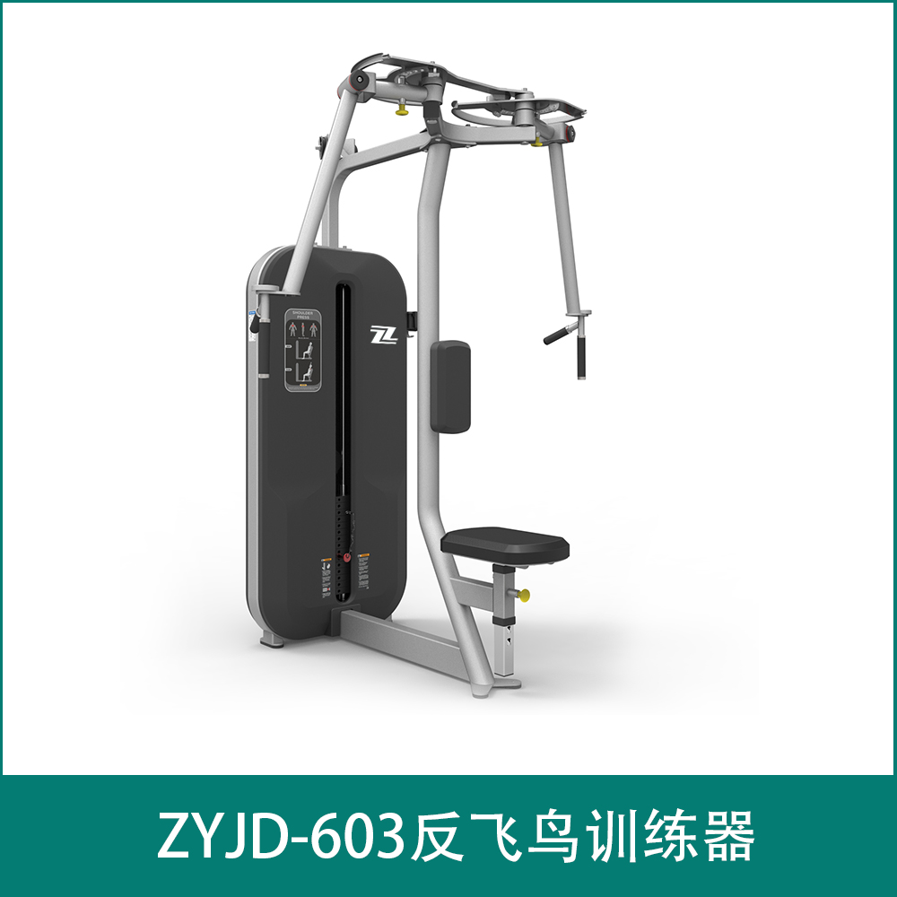 ZYJD-603反飞鸟训练器