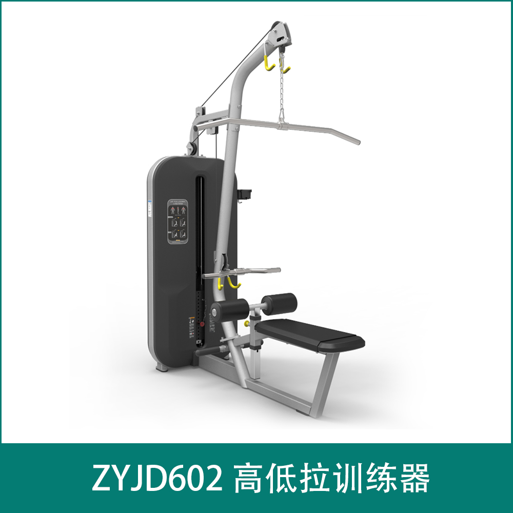 ZYJD602  高低拉训练器