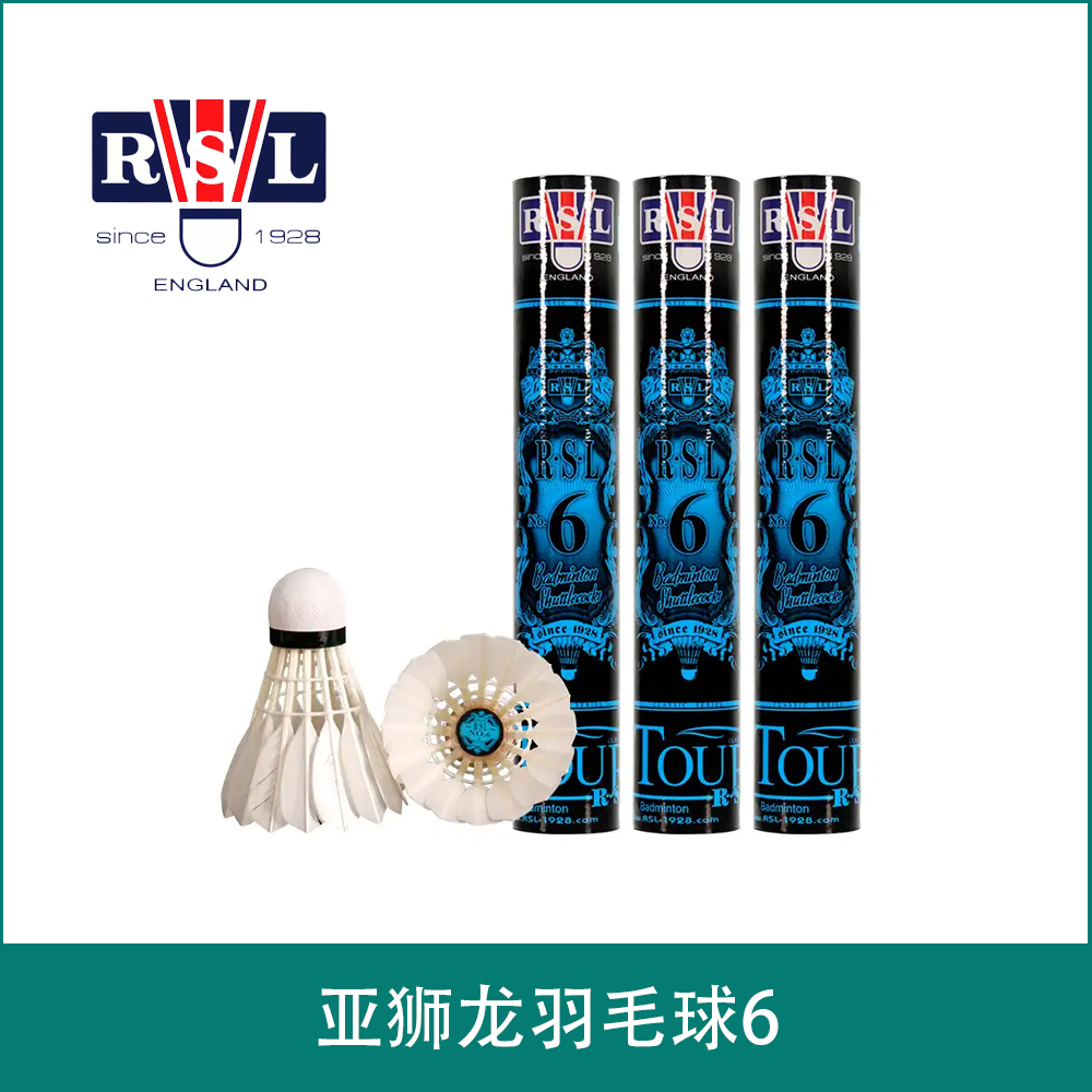 亚狮龙羽毛球6